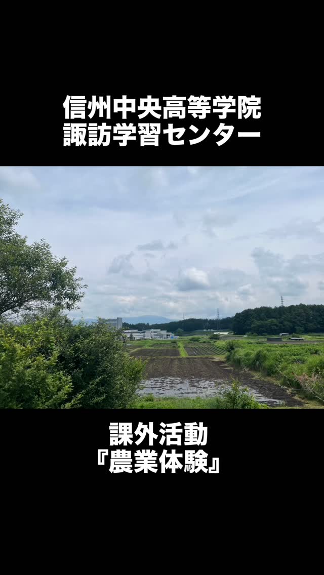 こんにちは😊
諏訪学習センターから課外活動報告です📣
【農業体験】に行ってきました🧑🌾
農園ではオーナーご夫妻にとても暖かくお迎えいただき、『落花生🥜の播種作業』と『薪割り🪵』を体験させていただきました🙌
普段なかなか交流がなかった生徒たちも、今日の体験をきっかけに他の生徒に話しかけてみたり、いつもと違う環境で新たな一歩が踏み出すきっかけになったかもしれません🩵
信州中央高等学院では、普段の学習サポートの他、課外活動を通じて、地域の方やさまざまな人間関係の中で協働することも学んでいきます✨
オープンキャンパスもありますので、ぜひブログからチェックしてみてください😊
諏訪学習センターからの【初投稿】でした🤣
#通信制サポート校
#信州中央高等学院
#諏訪地域通信制高校
#何気に初投稿