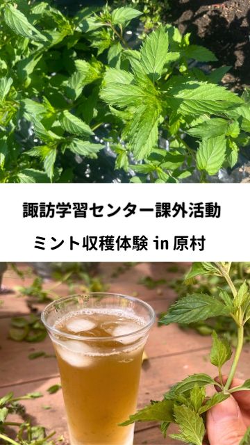 こんにちは😊諏訪学習センターです🦢
8月の特別活動は、教室を飛び出し【ミント収穫体験】へ!🚙
オーナーご夫妻に暖かくお迎えいただき、『ミントの収穫・葉摘み🍃』を体験させていただきました🙌
汗をかき、土に触れ、ミントの爽やかな香りに包まれた一日🐛🍁
自然には驚き、発見がまだまだたくさんありますね👀
課外活動では、普段はなかなか交流がない生徒同士でも、自然と会話が弾み、笑顔があふれます🌝
通信制高校って「勉強以外にどんなことするの?」と気になっている方、
他の課外活動の様子もチェックしてみてくださいね🙌
~ブログではオープンキャンパスのお知らせも公開中!
プロフィールにあるURLからご覧下さい✨~
#通信制サポート校
#信州中央高等学院
#諏訪地域通信制高校